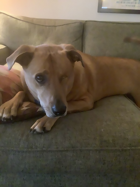 Entry image for Ares. Clicking this image will show a larger photo