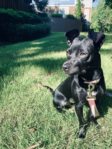 Entry image for Paige . Clicking this image will show a larger photo