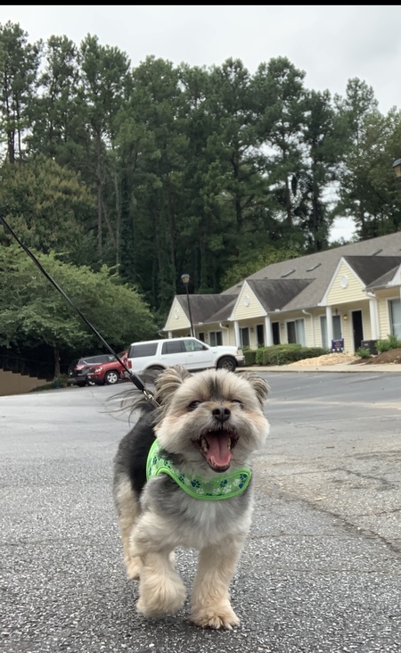 Entry image for Jack. Clicking this image will show a larger photo