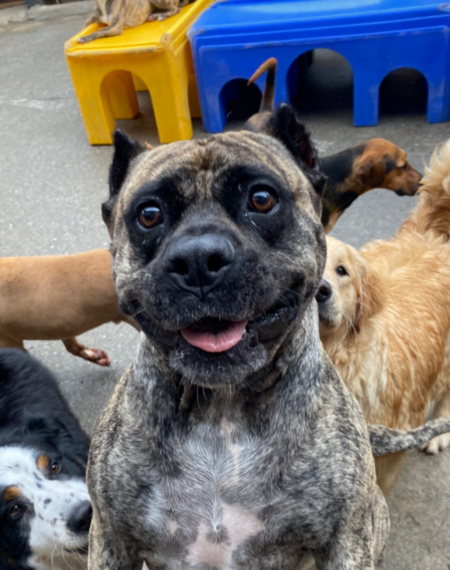 Entry image for Natasha. Clicking this image will show a larger photo