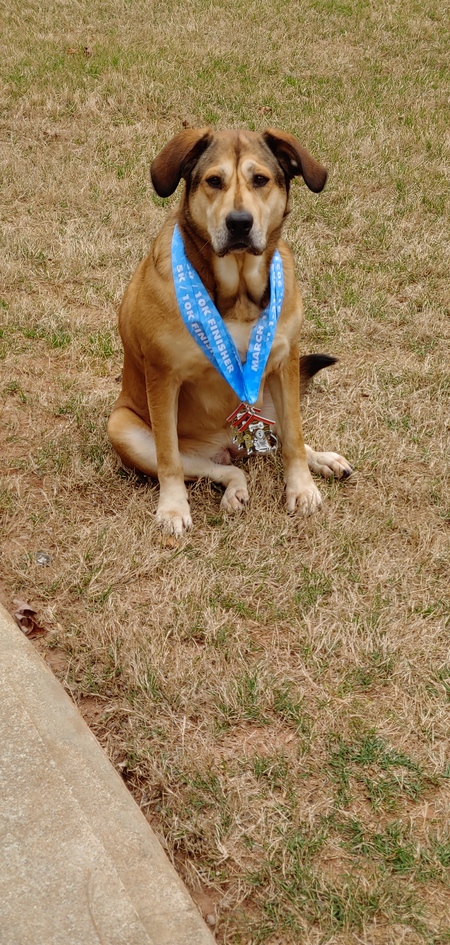 Entry image for KC Davis. Clicking this image will show a larger photo