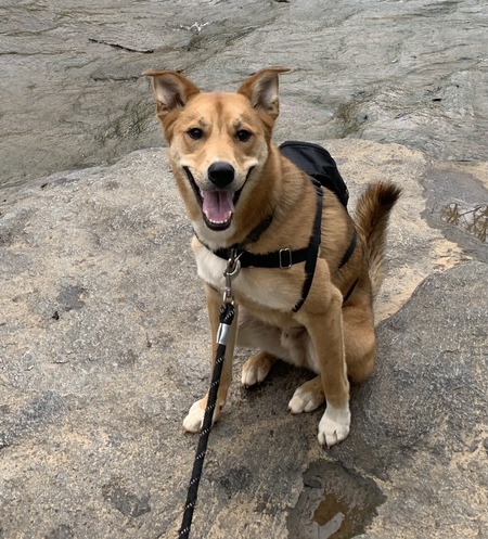 Entry image for Levon. Clicking this image will show a larger photo