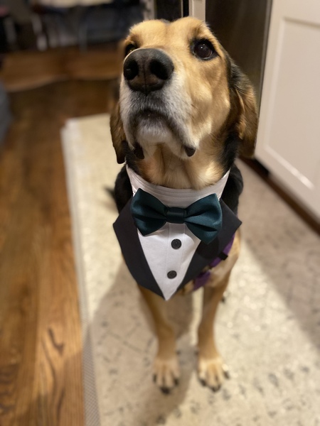 Entry image for Karl. Clicking this image will show a larger photo