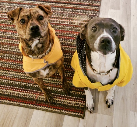 Entry image for Marbles and Jewels. Clicking this image will show a larger photo