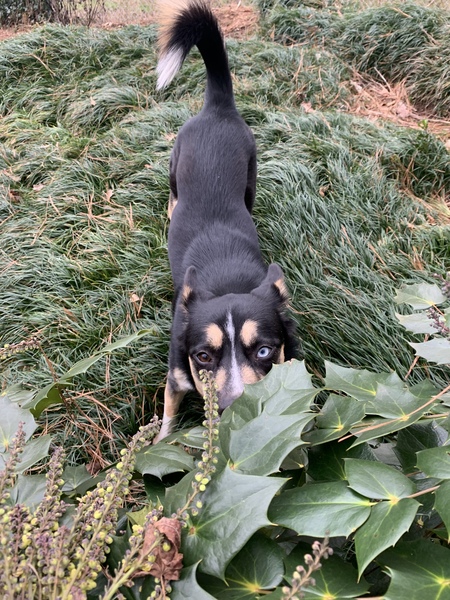 Entry image for Oakley. Clicking this image will show a larger photo