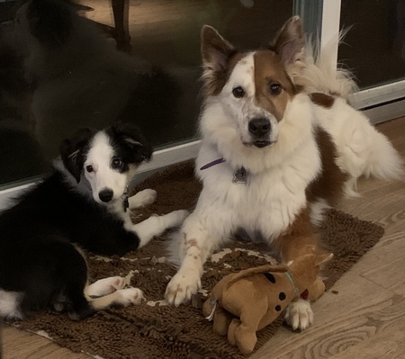 Entry image for Freckles and Roo. Clicking this image will show a larger photo