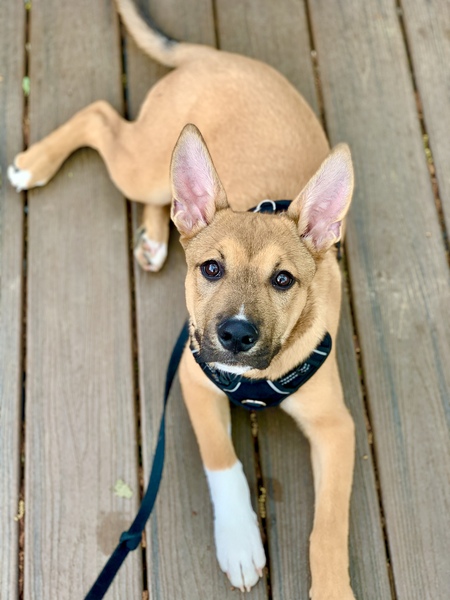 Entry image for Sami-Elle Jackson. Clicking this image will show a larger photo