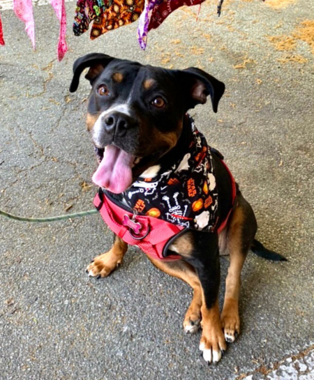 Entry image for Cerca. Clicking this image will show a larger photo