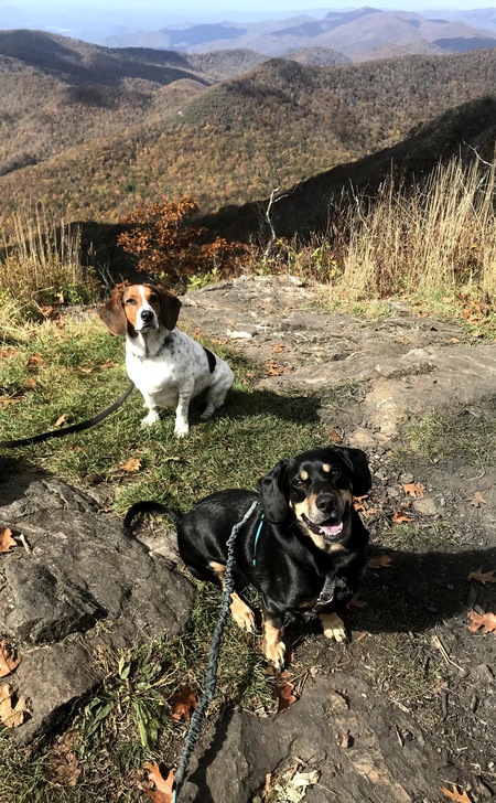 Entry image for Andy & Johnny. Clicking this image will show a larger photo