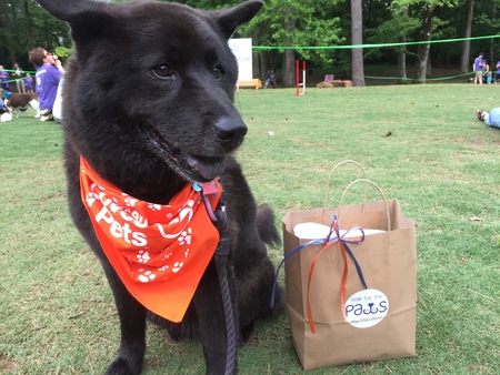 Entry image for Callie Brubaker. Clicking this image will show a larger photo