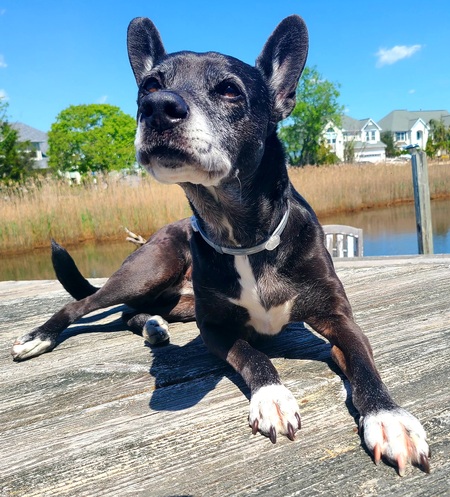 Entry image for Ze'eva ("Zeb"). Clicking this image will show a larger photo