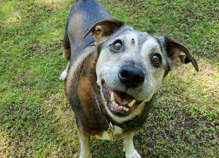 Entry image for Sergei. Clicking this image will show a larger photo