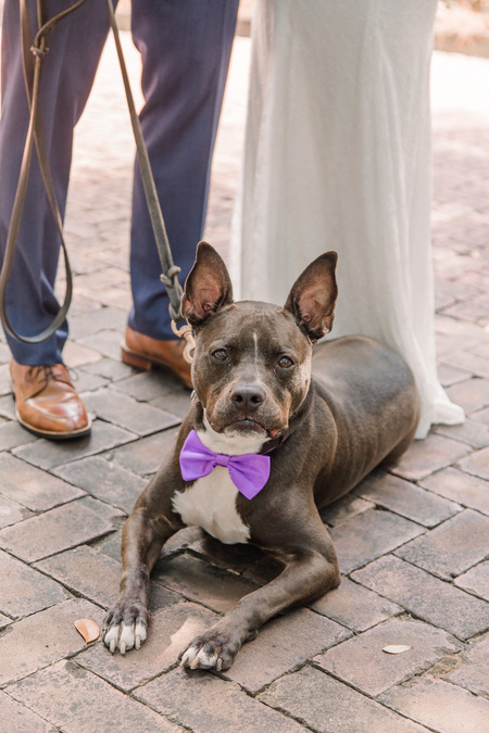 Entry image for Charlie. Clicking this image will show a larger photo