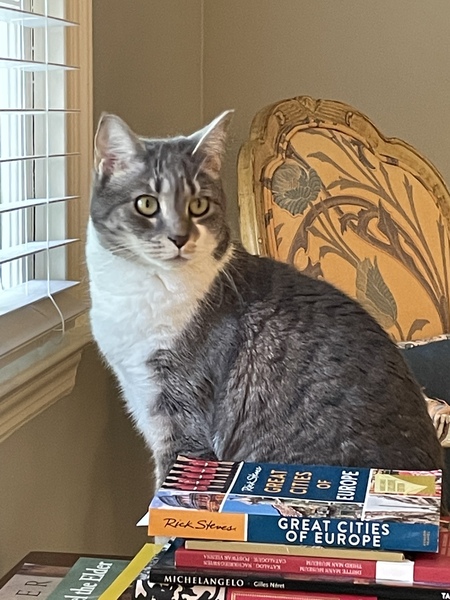 Entry image for Paris Joy . Clicking this image will show a larger photo