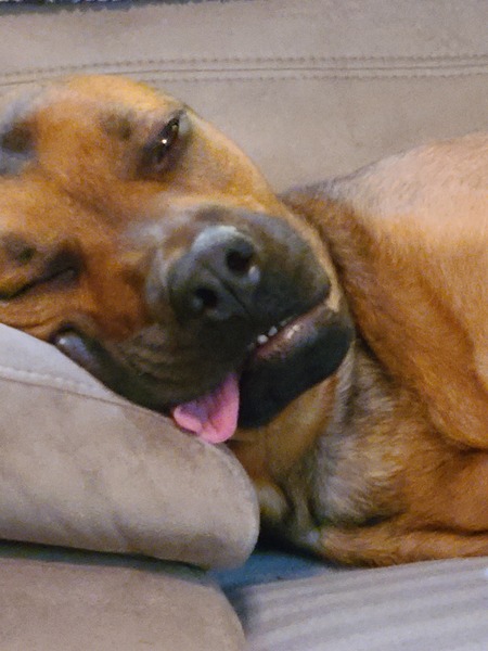 Entry image for Berkley . Clicking this image will show a larger photo