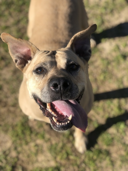 Entry image for Sparkles . Clicking this image will show a larger photo