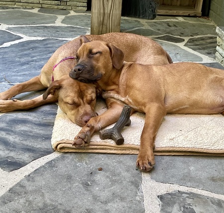 Entry image for Carmella and Coffee. Clicking this image will show a larger photo