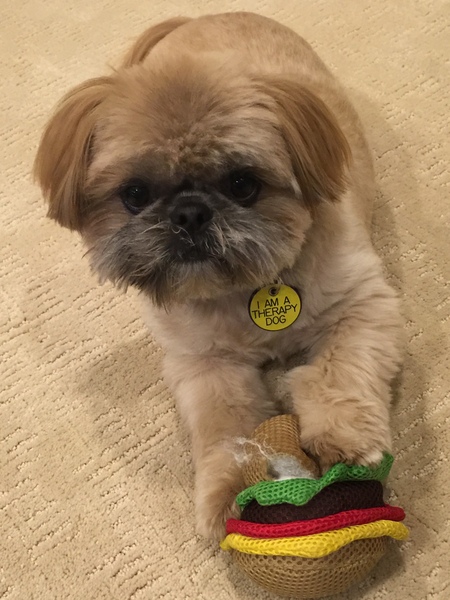 Entry image for Ernie. Clicking this image will show a larger photo