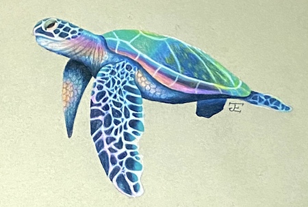 Turtle