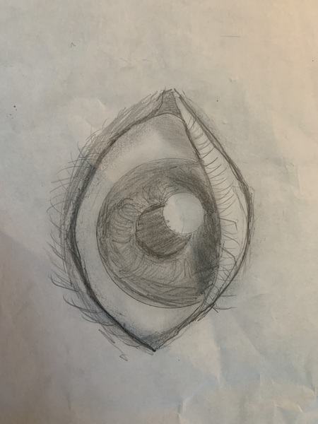 Eye