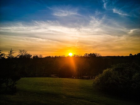 Sunset silhouettes