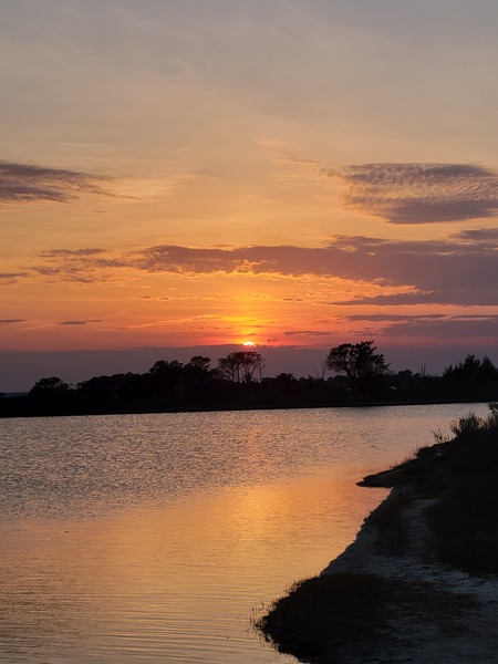 Assateague Island