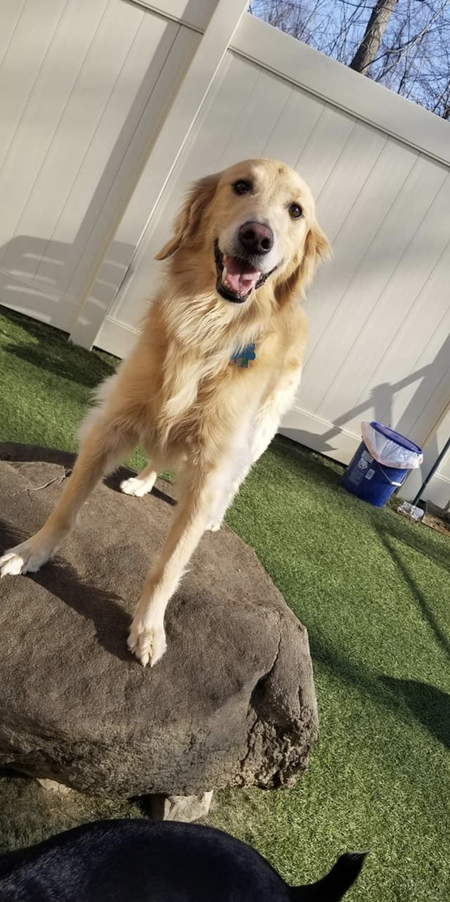 Maverick
