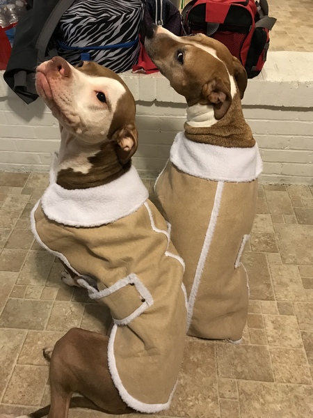 Ava and Bella
