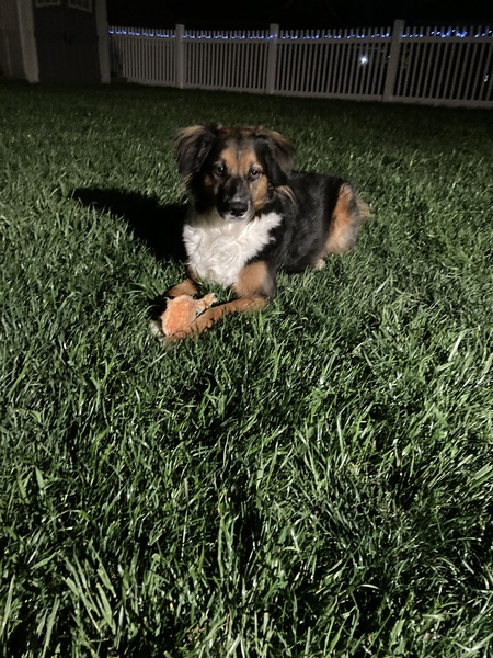 Sophie