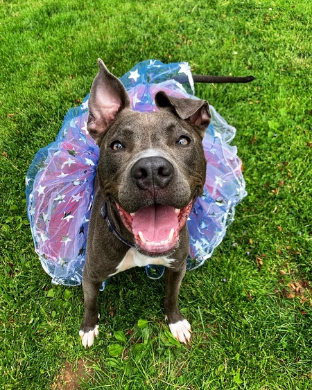 Belle
