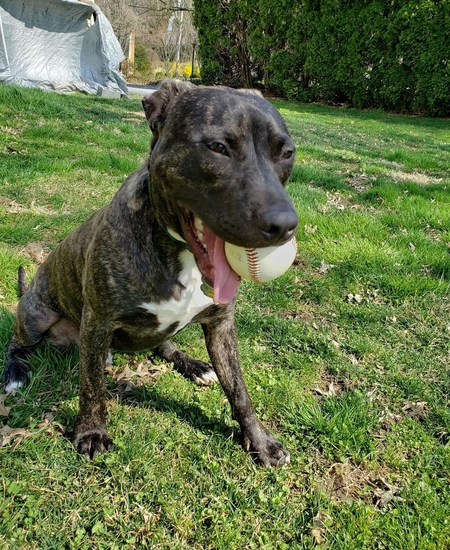 Samson