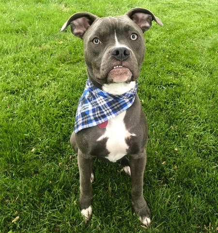 Duke Ulysses