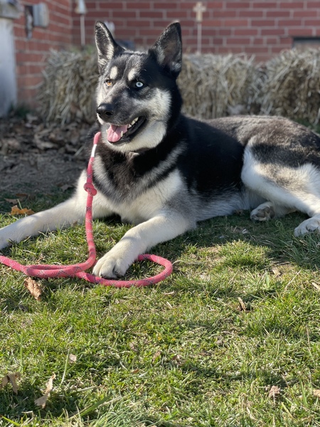 Sammi