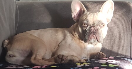 Lilah 