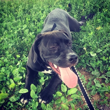 Tully