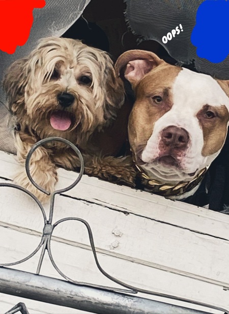 Blu , milo  