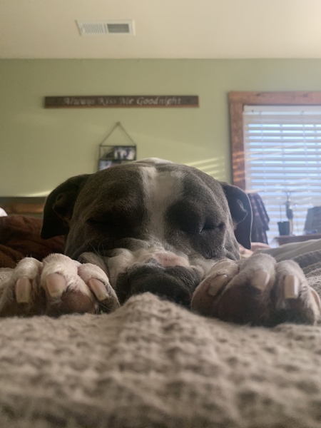 Mr Mack  