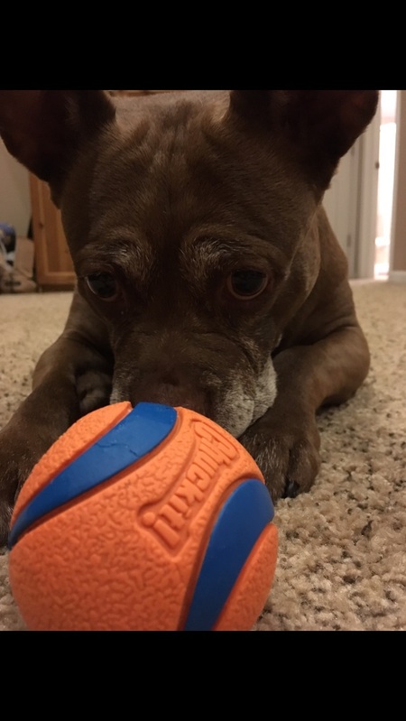 Frankie