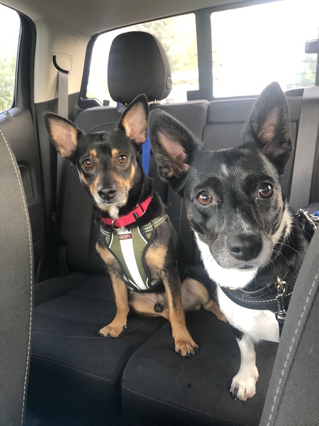 Winnie and Linus