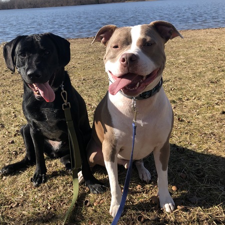 Diesel and Gunner