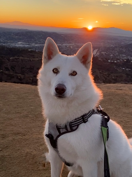 Luna