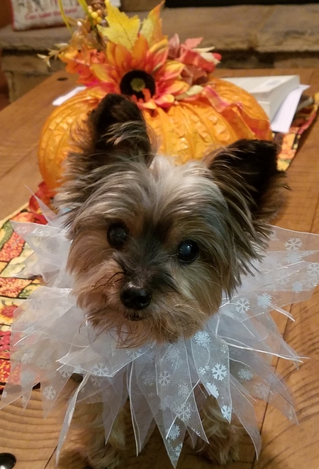 Chloe