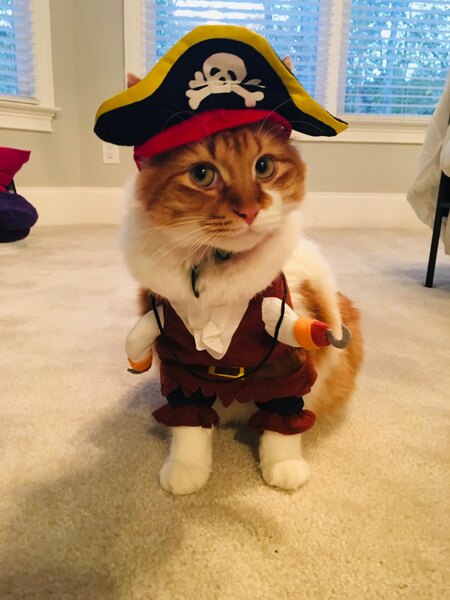 Henry