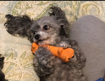 Nena