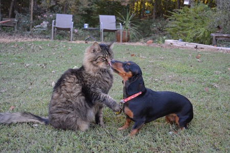 Cat and Heidi