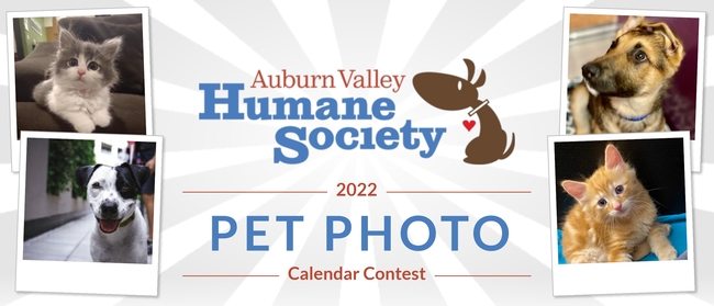 Auburn Valley Humane Society | 2022 AVHS Pet Calendar Fundraiser