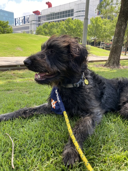Pepper