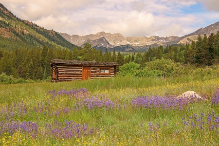 Miner's Cabin