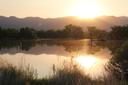 Morning Stillness 