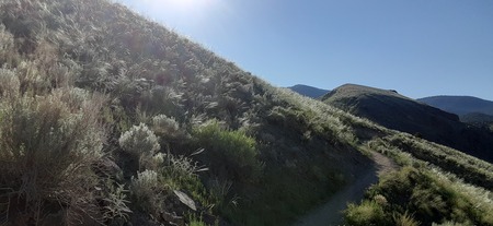 Morning Wanderings